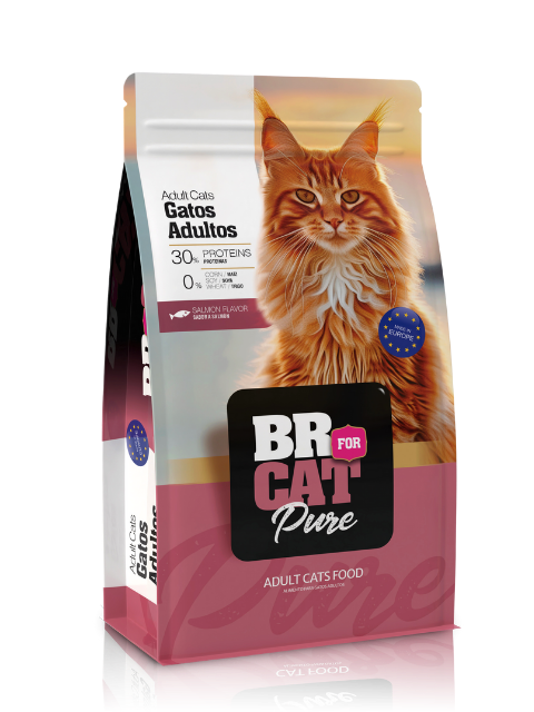 [106U] BR FOR CAT ADULTO SALMON X 10 KG